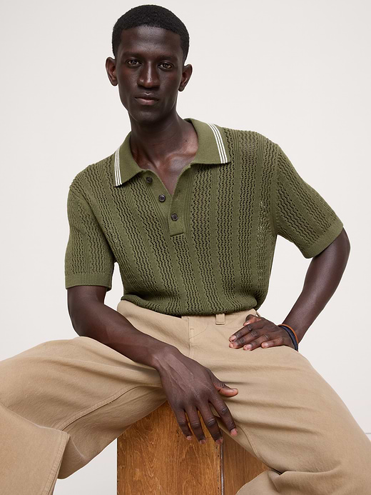 Banana Republic Cotton Zig-Zag Sweater Polo — photo 1