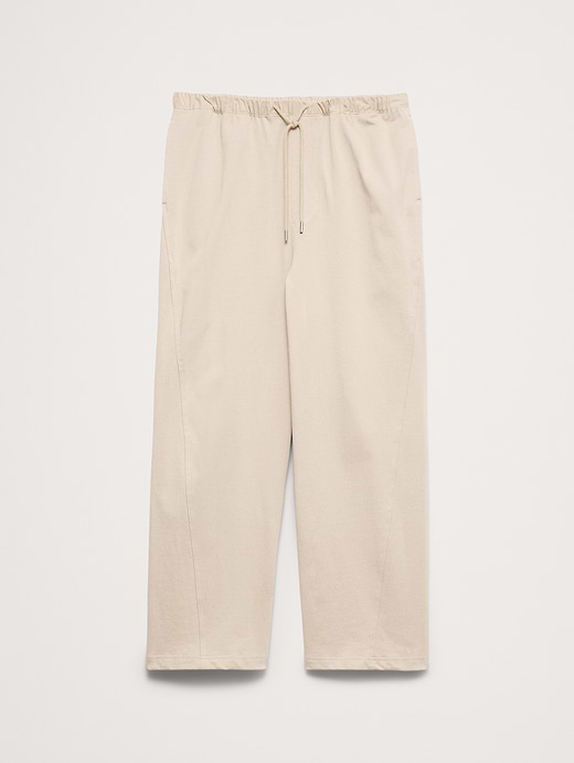 Banana Republic Relaxed Pull-On Flight Pant — photo 5