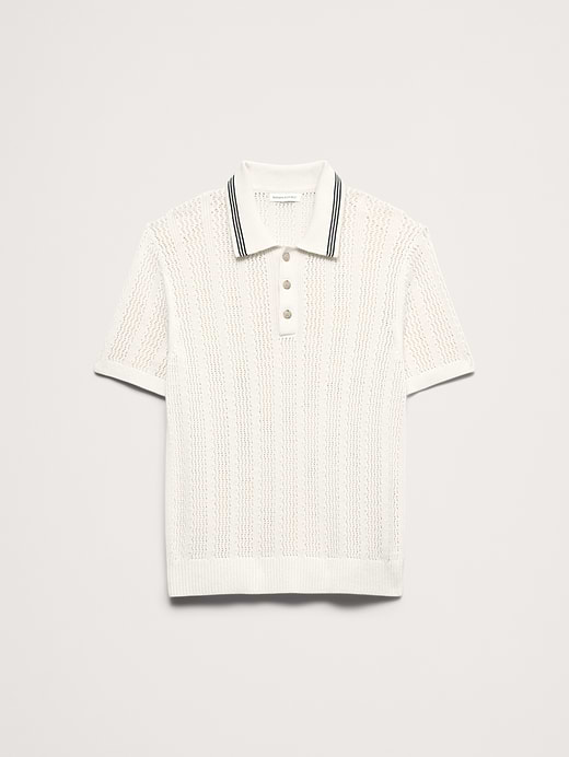 Banana Republic Cotton Zig-Zag Sweater Polo — photo 5