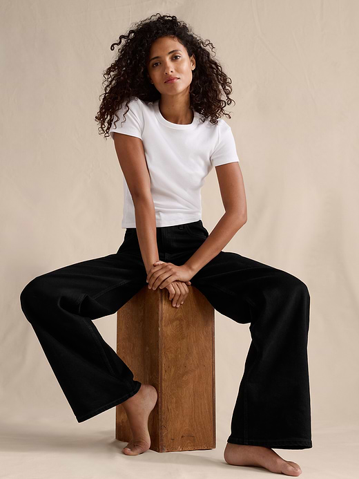 Banana Republic The Icon Classic Wide-Leg Jean — photo 5