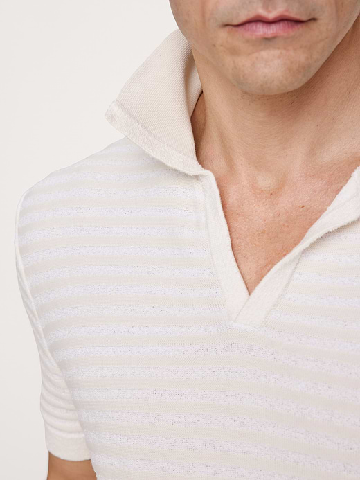 Banana Republic Textured Stripe Sweater Polo — photo 6