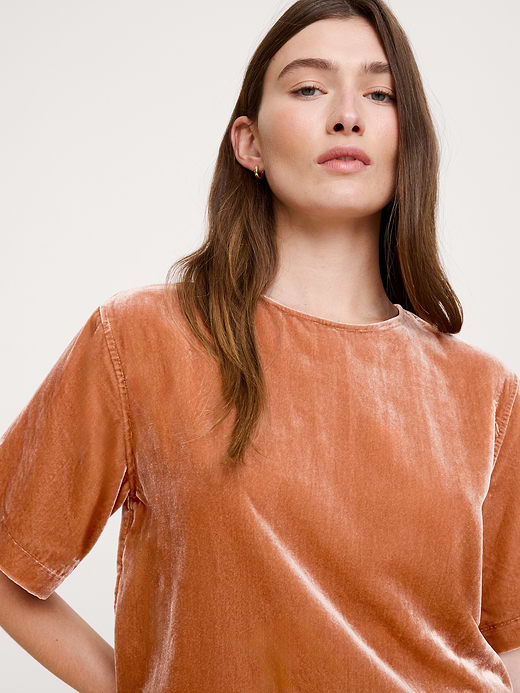 Banana Republic Drapey Velvet Top — photo 4