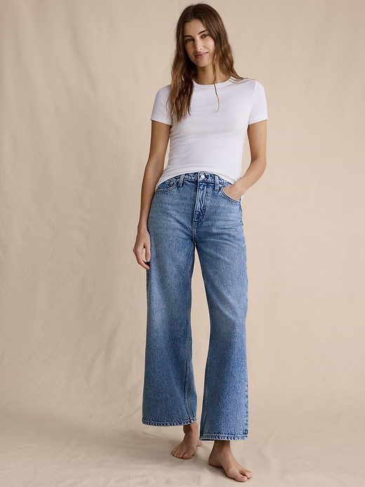 Banana Republic The Icon Classic Wide-Leg Crop Jean — photo 5