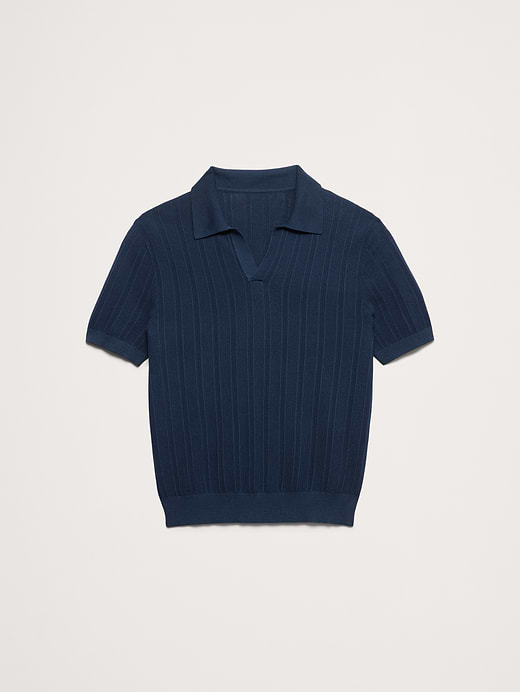Banana Republic Textured Cotton Stripe Sweater Polo — photo 5
