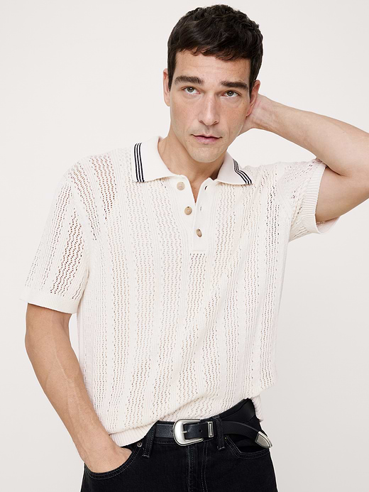 Banana Republic Cotton Zig-Zag Sweater Polo — photo 1