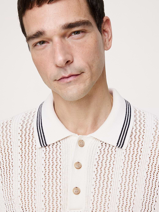 Banana Republic Cotton Zig-Zag Sweater Polo — photo 4