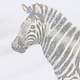 Banana Republic Archive Reissue Cotton Graphic T-Shirt — photo 2