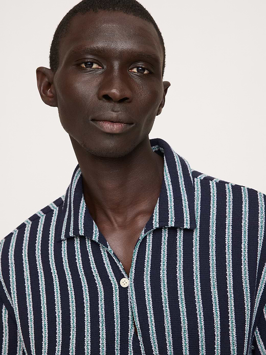 Banana Republic Jacquard Stripe Open Collar Polo — photo 4