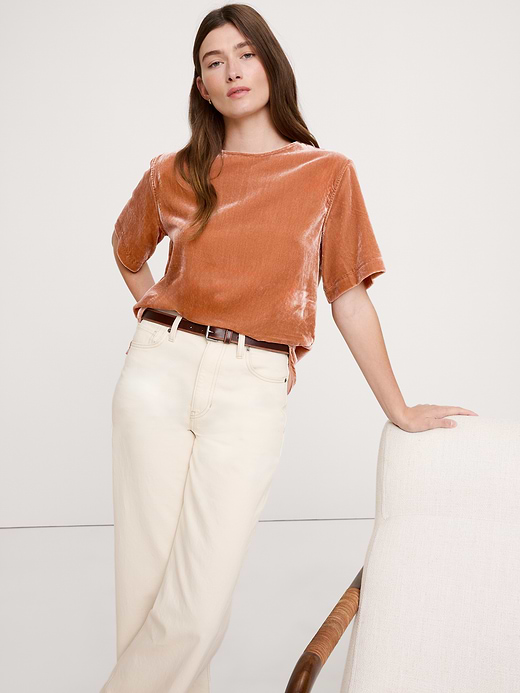Banana Republic Drapey Velvet Top — photo 1