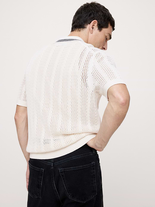 Banana Republic Cotton Zig-Zag Sweater Polo — photo 3