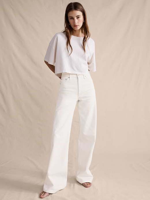 Banana Republic The Icon Classic Wide-Leg Jean — photo 5
