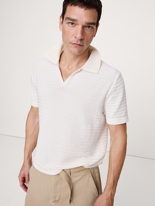 Banana Republic Textured Stripe Sweater Polo — photo 1
