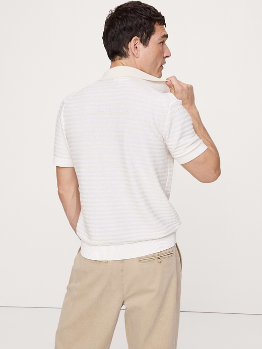 Banana Republic Textured Stripe Sweater Polo — photo 3