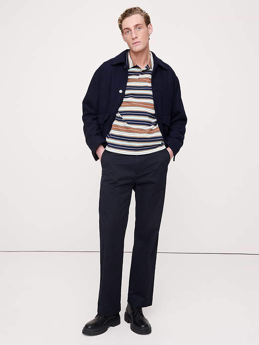 Banana Republic Relaxed Stripe Cotton Johnny-Collar Polo — photo 4