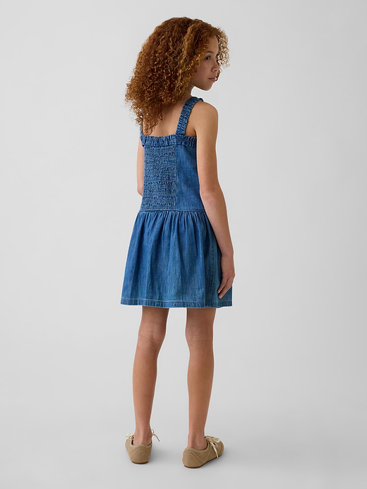 Gap Kids Drop-Waist Dress — photo 4