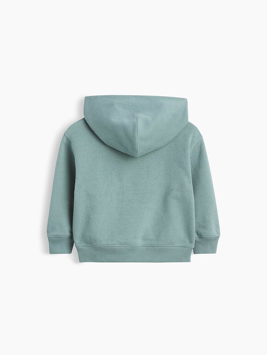 Gap Baby & Toddler VintageSoft Relaxed Hoodie — photo 5