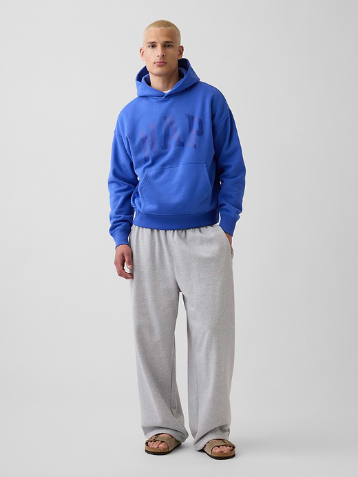 Gap Adult VintageSoft NAP Logo Hoodie — photo 3