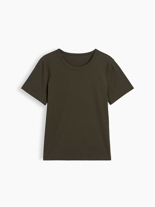 Gap Organic Cotton VintageSoft T-Shirt — photo 6