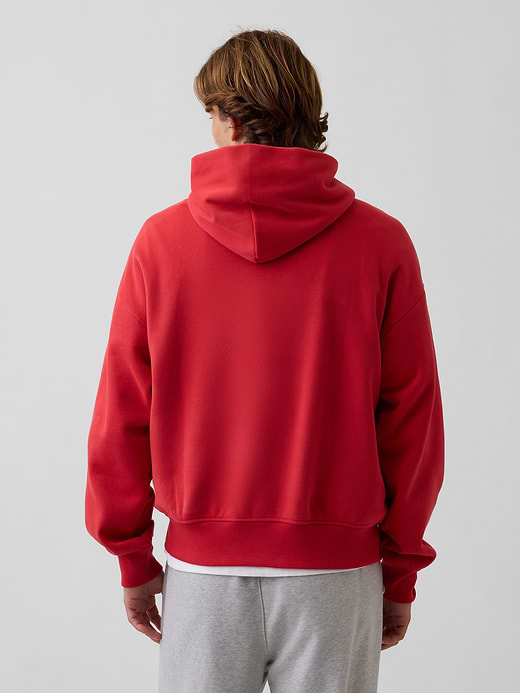 Gap Adult VintageSoft NAP Logo Hoodie — photo 4