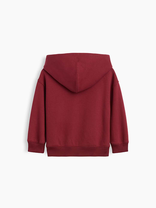 Gap Baby & Toddler VintageSoft Relaxed Hoodie — photo 5