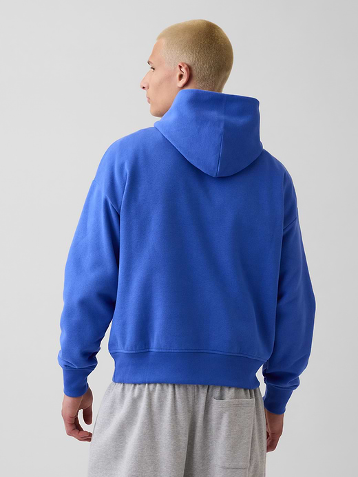 Gap Adult VintageSoft NAP Logo Hoodie — photo 4