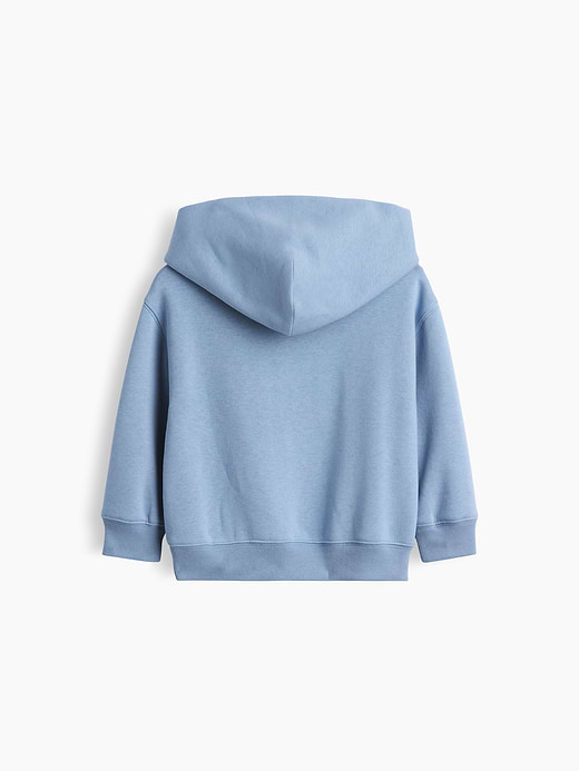 Gap Baby & Toddler VintageSoft Relaxed Hoodie — photo 5