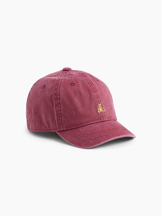 Gap Toddler Brannan Bear Overdye Baseball Hat — photo 1