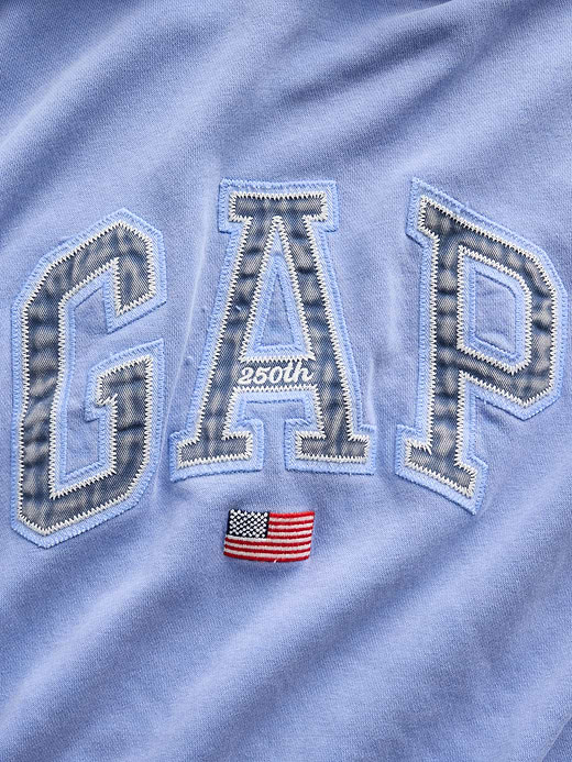 Gap VintageSoft Oversized Americana Logo Hoodie — photo 5