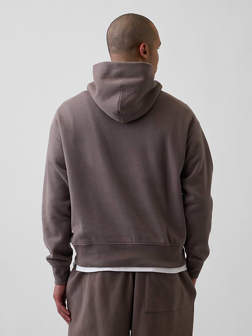 Gap Adult VintageSoft NAP Logo Hoodie — photo 4