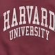 Old Navy College Oversized Graphic Tunic Sweatshirt for Girls — photo 2