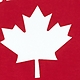 Old Navy Canada Logo Graphic T-Shirt — photo 2