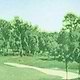 Old Navy PGA TOUR™ Heavyweight Loose T-Shirt — photo 2
