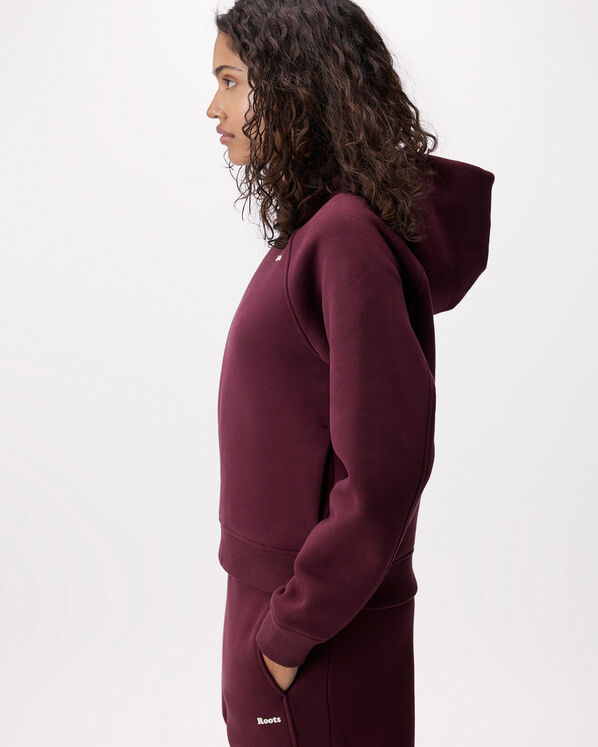 Roots Cloud Raglan Hoodie — photo 3