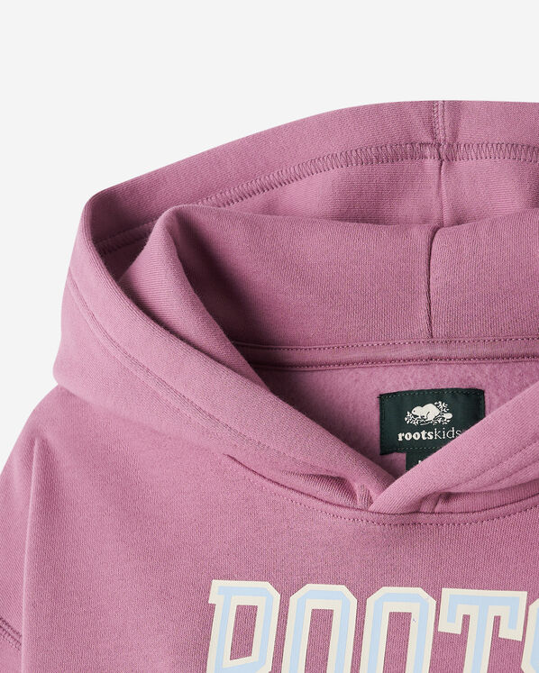 Roots Kids RBA Archive Hoodie — photo 8