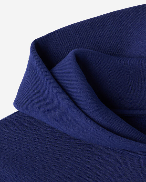 Roots Roots X Wicked OZ Hoodie — photo 4