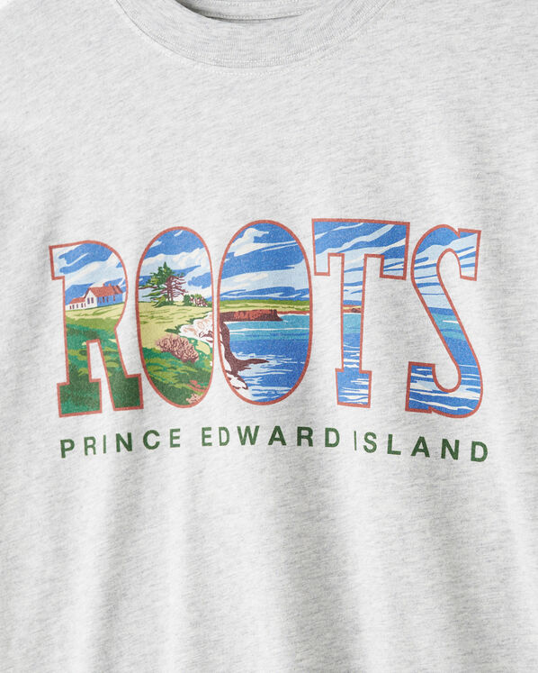 Roots Greetings From The East T-Shirt — photo 3