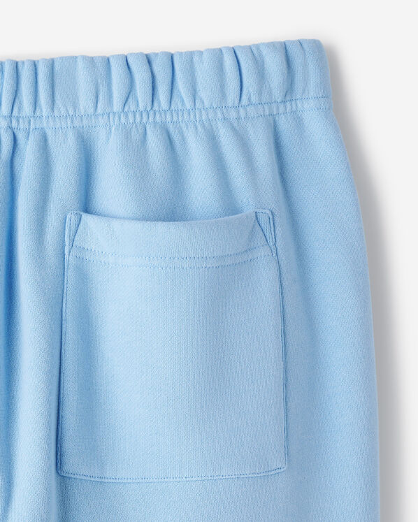 Roots Roots X Wicked OZ Sweatpant — photo 7
