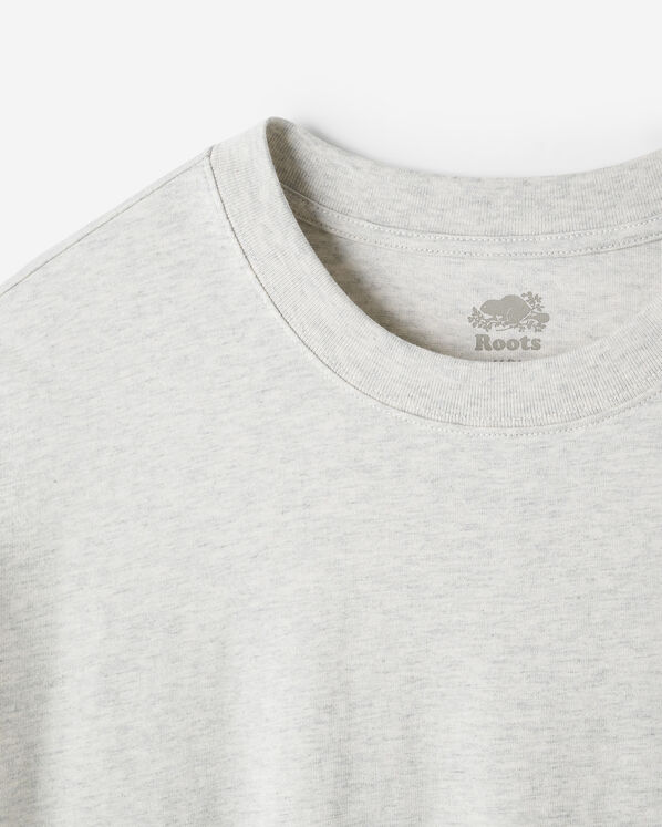 Roots Mens Alpine Good Relaxed T-Shirt — photo 4