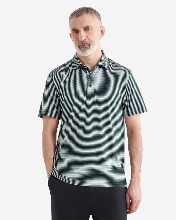 Roots Renew Knit Striped Polo — photo 1