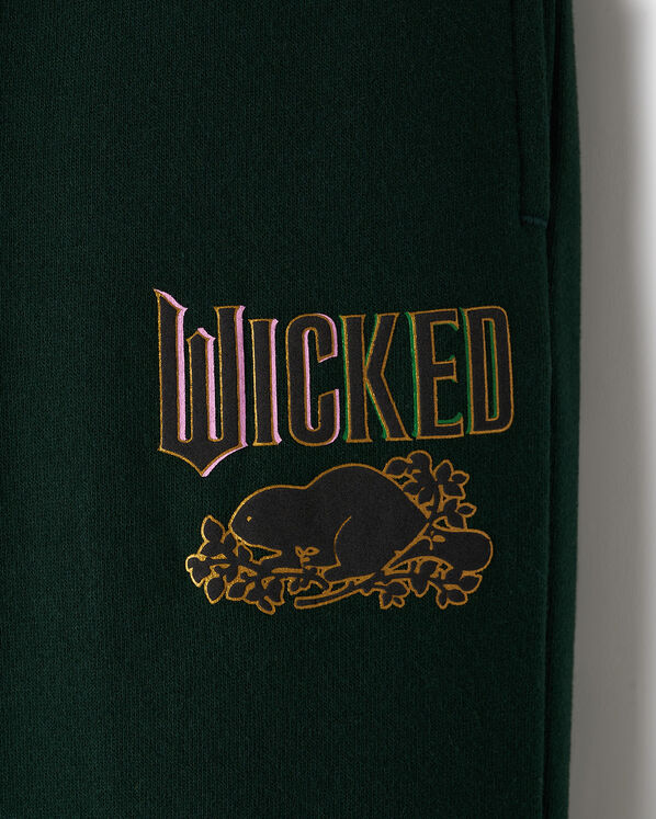 Roots Kids Roots X Wicked Sweatpant — photo 5