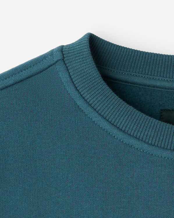 Roots Kids Cloud Crew Sweatshirt — photo 9