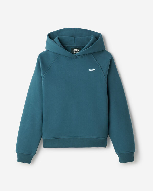 Roots Cloud Raglan Hoodie — photo 6