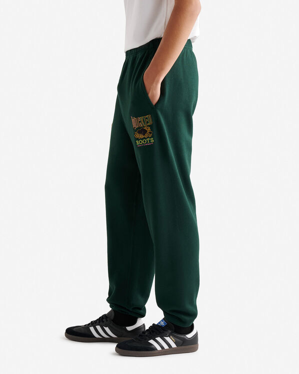 Roots Roots X Wicked Relaxed Sweatpant — photo 3