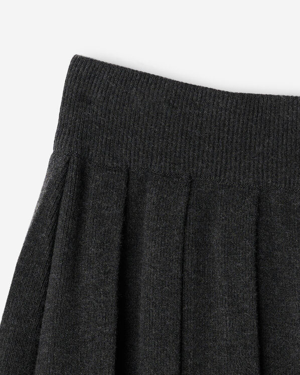 Roots Bowen Pleated Mini Skirt — photo 3