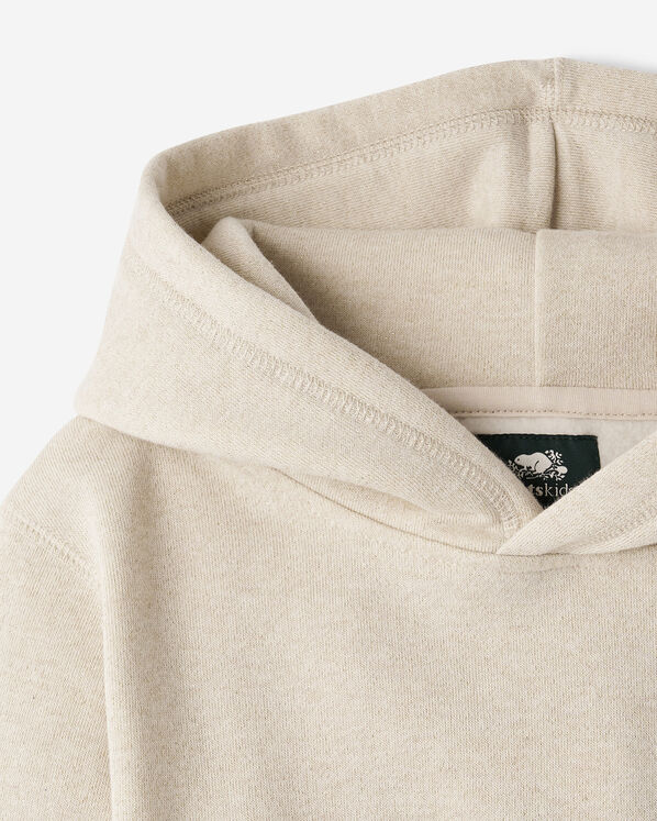 Roots Girls Cooper Sparkle Cropped Hoodie — photo 4