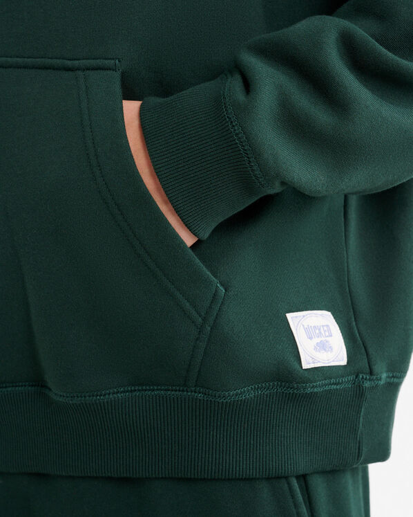 Roots Roots X Wicked OZ Hoodie — photo 7