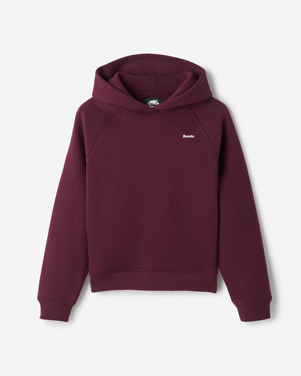 Roots Cloud Raglan Hoodie — photo 6