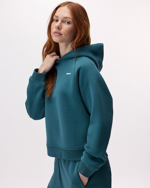 Roots Cloud Raglan Hoodie — photo 3