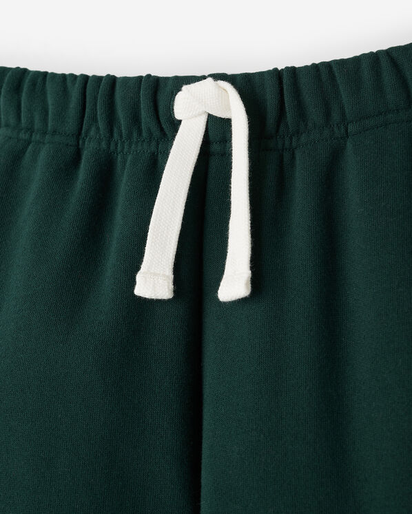 Roots Kids Cooper Colour Block Track Pant — photo 6