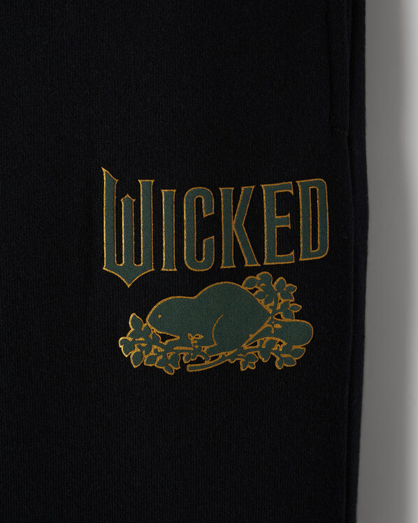 Roots Kids Roots X Wicked Sweatpant — photo 5